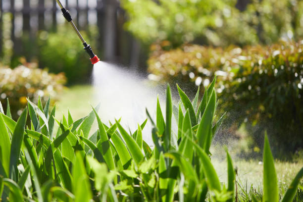 24/7 Emergency Wasp Removal experts in Atlanta, IL