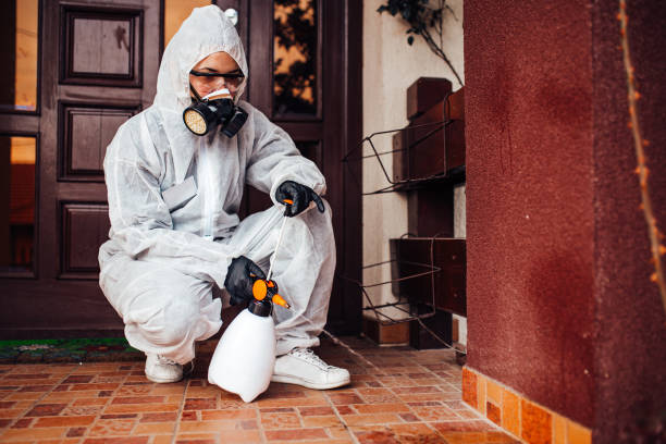 Reliable Wasp Removal contractor in Atlanta, IL by Show Me Pest Control